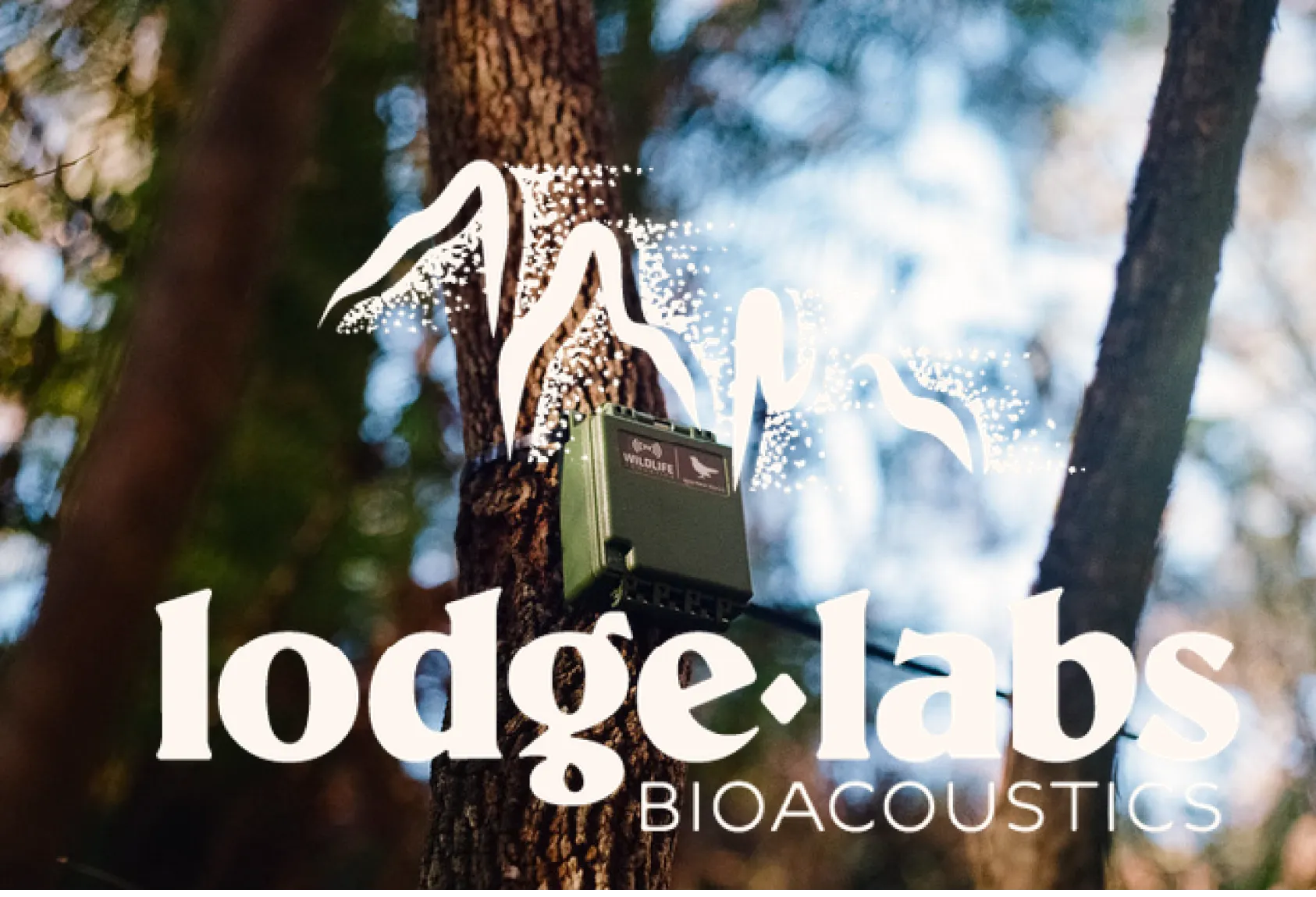 Lodge Labs Technology Logo